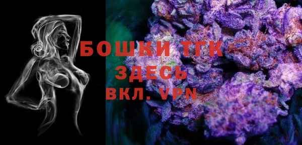 дмт Аркадак