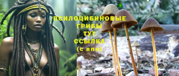 дмт Аркадак